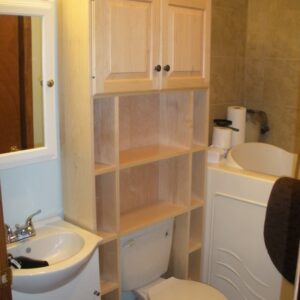 Custom Toilet Cabinet