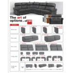 222 7000 Sectional Options